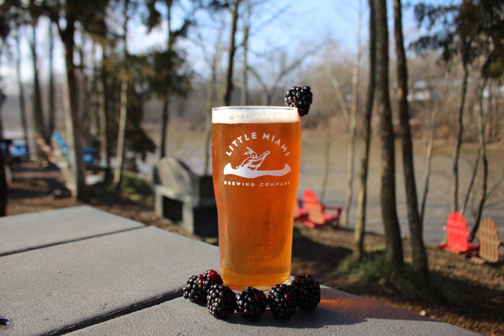 A glass of Blackbird Fly blackberry wheat beer with fresh blackberries beside the Little Miami River at Little Miami Brewing Company.