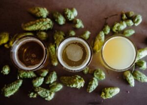Everything You Should Know About Hops for Brewing