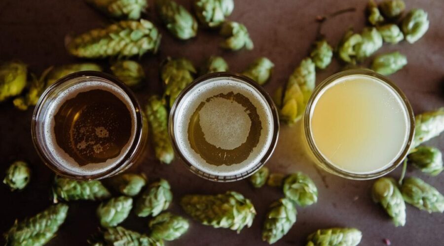 Hops most commonly used by Cincinnati Breweries