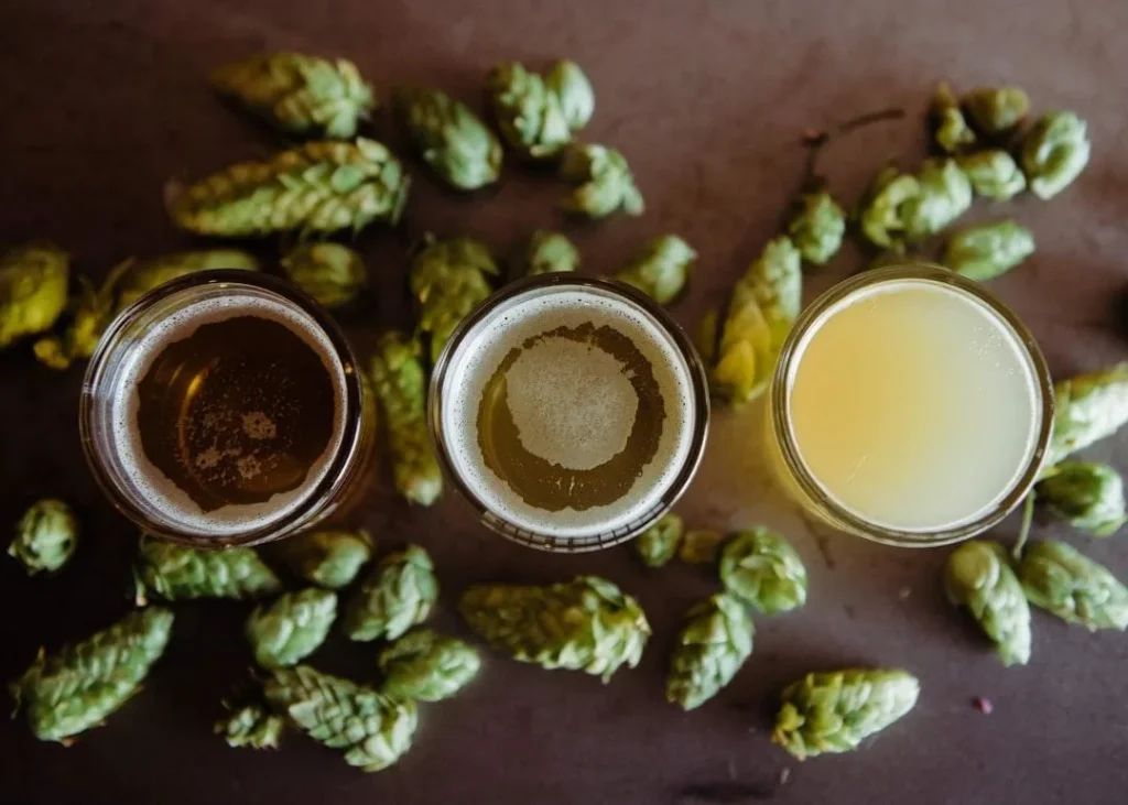 Everything You Should Know About Hops for Brewing
