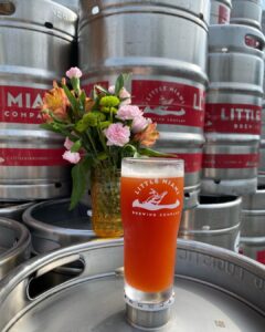 Top Craft Beers in Cincinnati: A Must-Try List from Little Miami Brewing Company