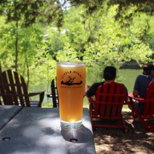 The Ultimate Guide to IPA Beers