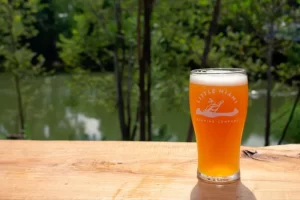 Craft Beer: The Perfect Guide to Answer All Your Questions