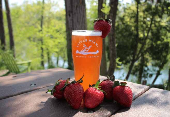 A vibrant strawberry beer from Little Miami Brewing, showcasing unique fruit-infused flavors at breweries in Cincinnati, with fresh strawberries around.