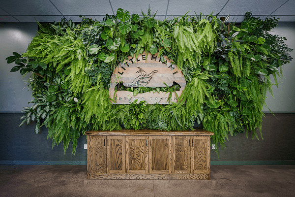 A lush green plant wall at Little Miami Brewing Company in Milford, Ohio, showcasing a wooden sign with the brewery’s logo, set above a rustic wooden counter.