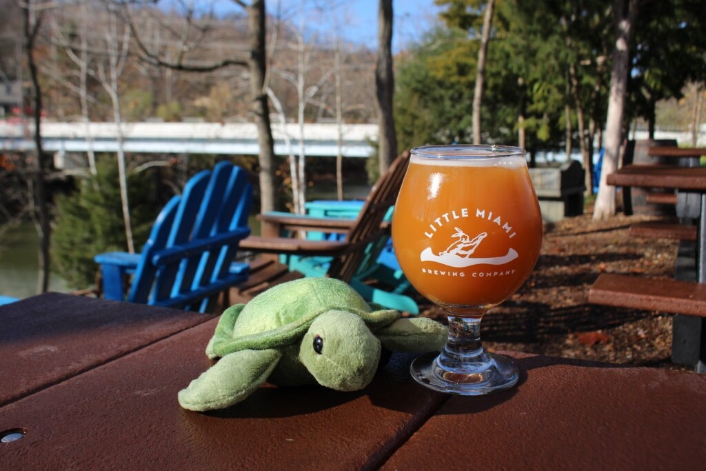 A glass of Little Miami Brewing Company's flavored beer on a table outdoors, with a stuffed turtle nearby.