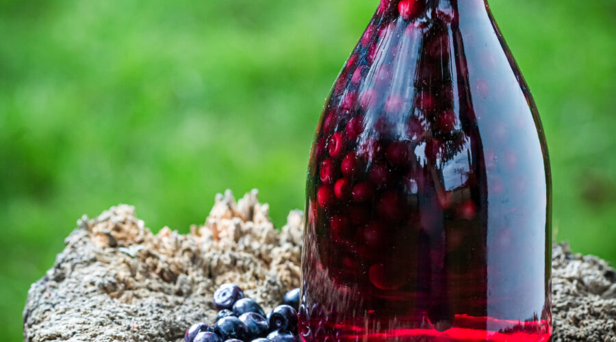 Tasty tincture in a bottle with alcohol as blueberry beer and blueberries in summer garden