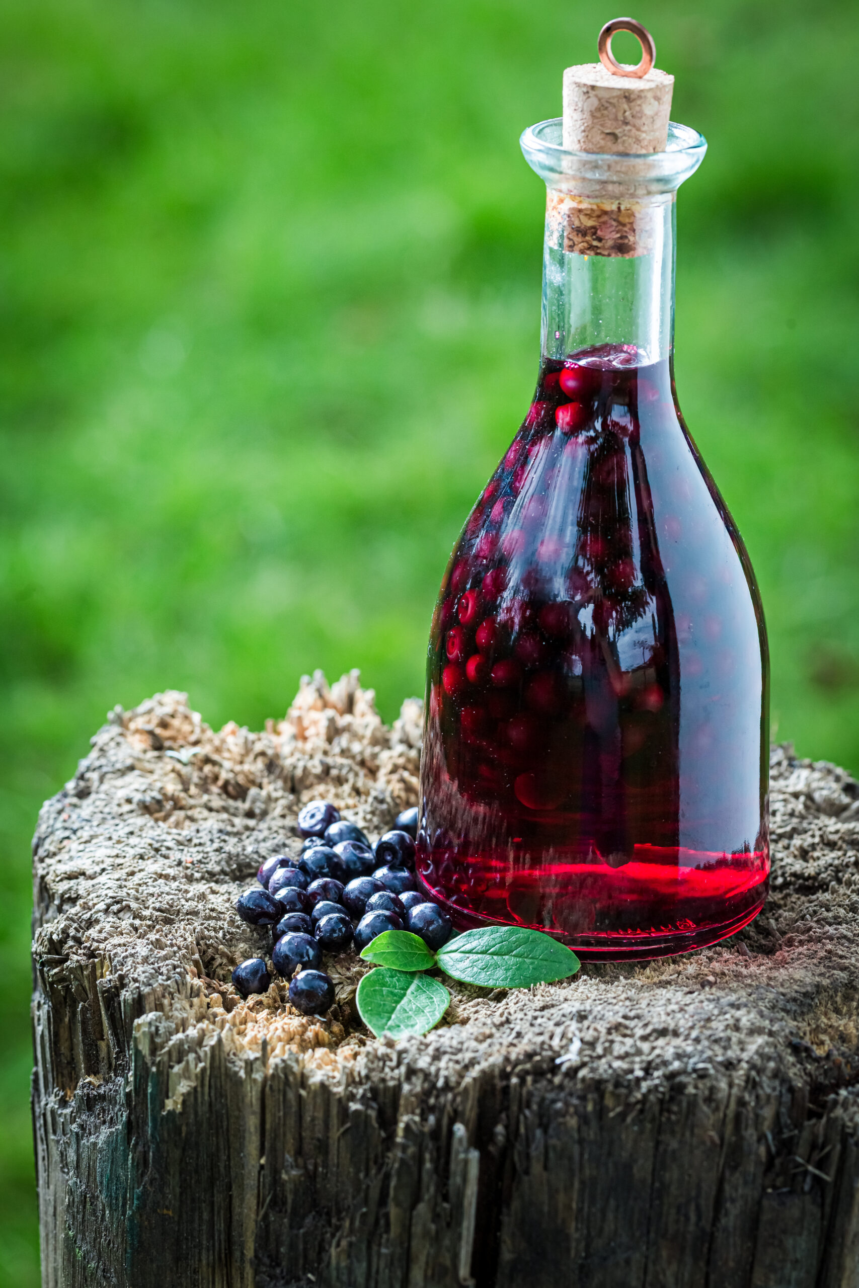 Tasty tincture in a bottle with alcohol as blueberry beer and blueberries in summer garden