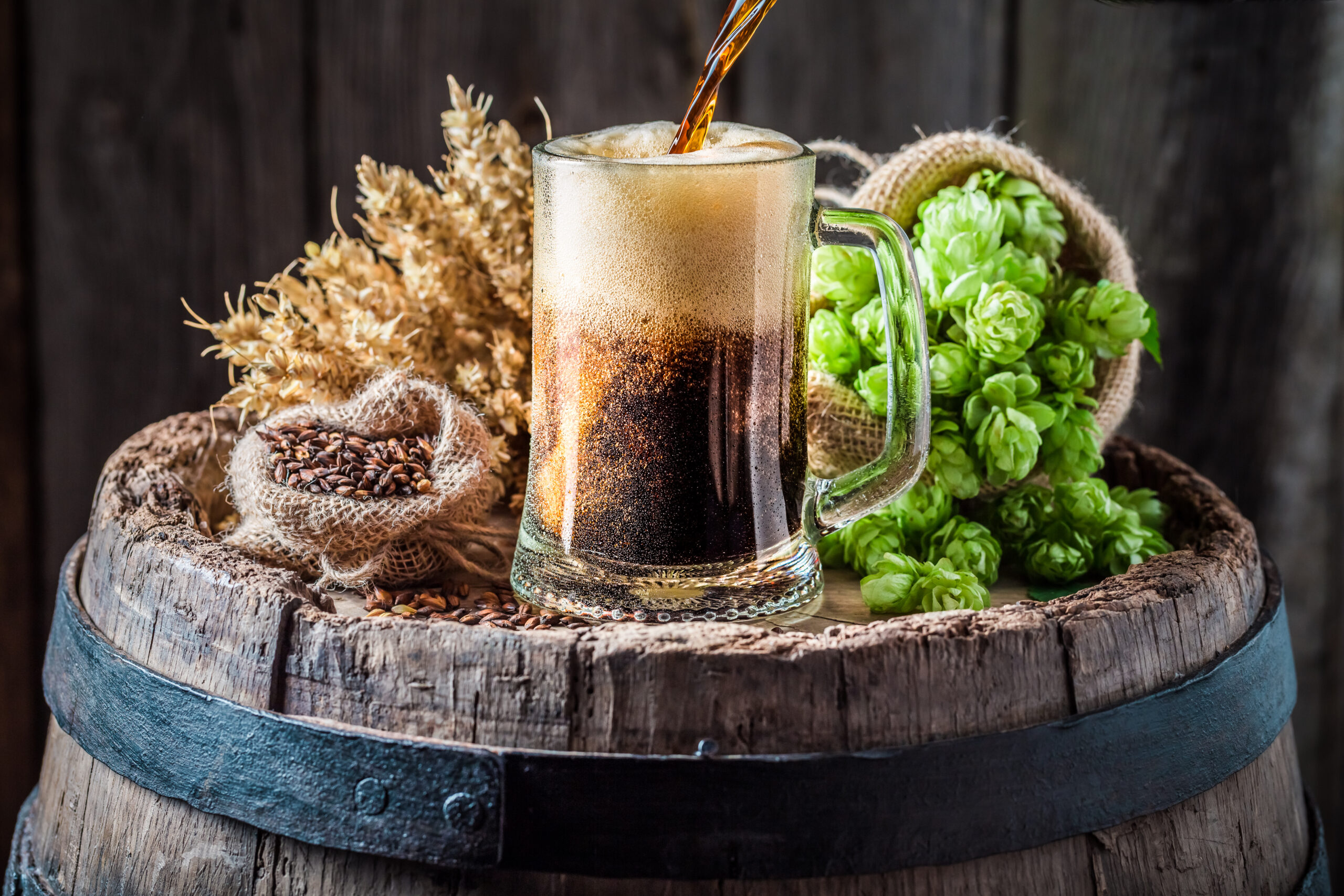 Dark beer being poured into a glass mug on a wooden barrel with hops and barley in the background.
