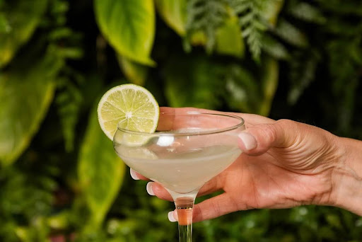 A hand holds a Gimlet cocktail with a lime wedge in front of lush green foliage at Little Miami Brewing Co.