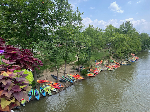 A vibrant collection of kayaks and canoes is beached along the tree-lined Little Miami River under a bright sky.