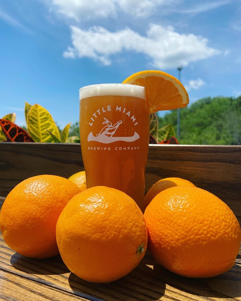 Curveball Belgian Wit by Little Miami Brewing Company served in sunshine with an orange slice.