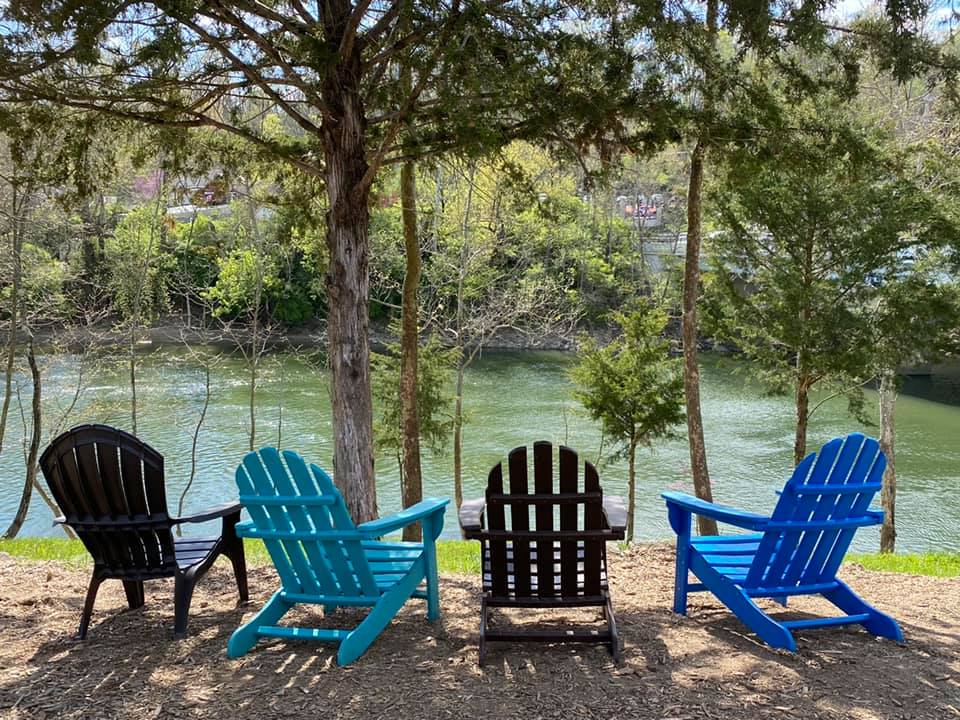 Four Adirondack chairs facing the calm Little Miami River under a large tree in Little Miami Brewing Company's patio.