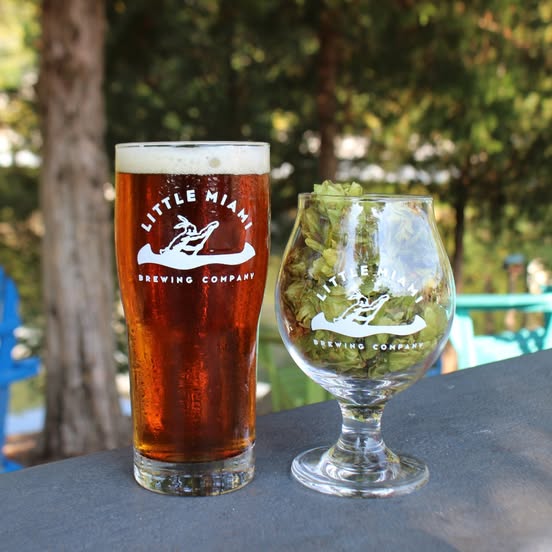 Little Miami Brewing Company’s Harvest Moon beer with a glass full of fresh green Ohio hops.