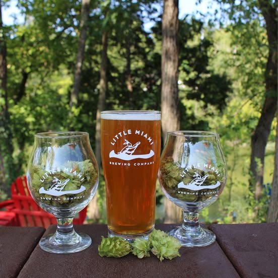 Pint of Little Miami Brewing Company beer placed between two glasses of fresh hops on a wooden table.
