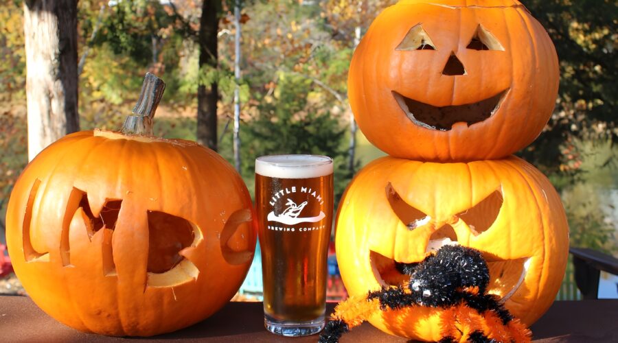 Three carved pumpkins, a pint of LMBC’s beer, and a fuzzy spider sitting outdoors for Halloween.